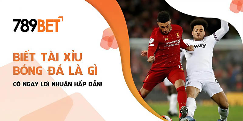 Biết tài xỉu bóng đá là gì có ngay lợi nhuận hấp dẫn Biết tài xỉu bóng đá là gì có ngay lợi nhuận hấp dẫn